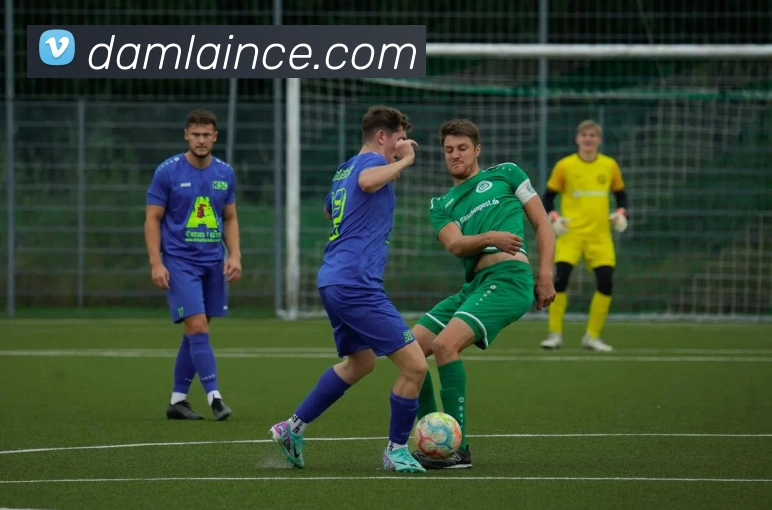 aoa网页版入口发展历程